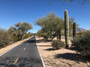 Uphill to Oracle, The Loop