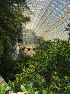 Biosphere Tucson AZ