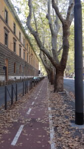 View down a long narrow sidewalk