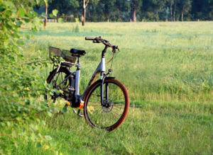 eBike parked in a field