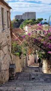 Old world cobbled street and alleyway with purple hanging flowers