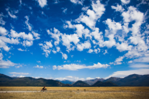 A bicycle rider on the trial with a fluffy cloudy sky