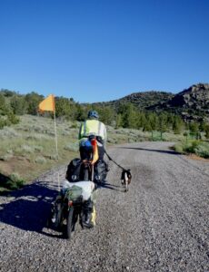 A man riding a touring bicycle towing a smaller bike and walking a dog on a leash