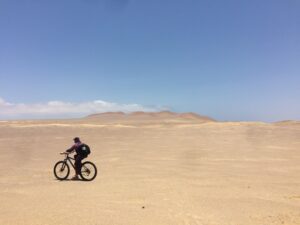 A person riding a bicycle across the desert
