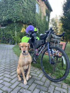 Dog sitting in front of a loaded touring bicycle